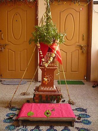 Tulsi Vivah: The Sacred Marriage of a Plant